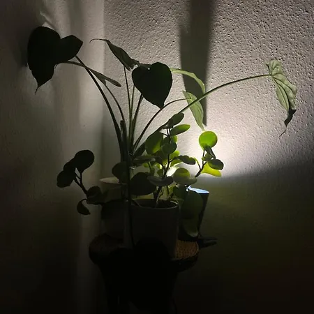 1 In Friedrichshain *