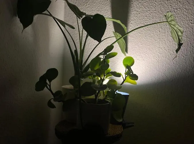 1 In Friedrichshain *